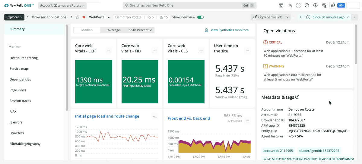 Screenshot of browser monitoring summary page